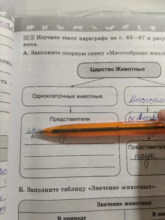 Заполните опорную схему «Многообразие животных»