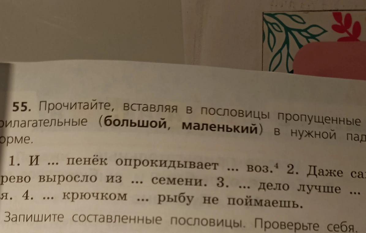 Прочитайте, вставляя в пословицы пропущенные прилагательные (большой, маленький) в нужной падежной форме.