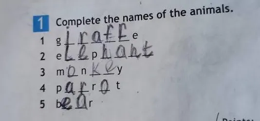 Complete the names of the animals.