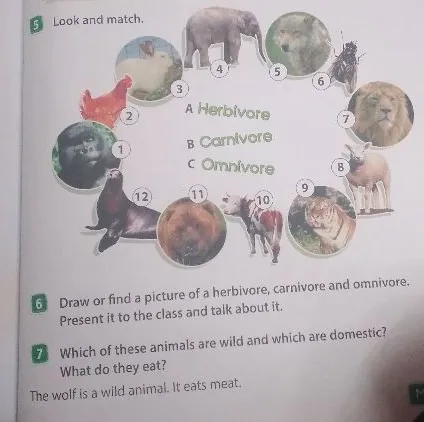 Look and match. Which of these animals are wild and which are domestic? What do they eat?