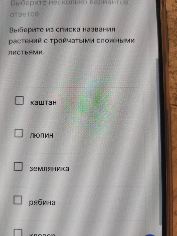 Выберите из списка названия растений с тройчатыми сложными листьями.