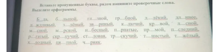 Вставьте пропущенные буквы, рядом напишите проверочные слова. Выделите орфограммы.