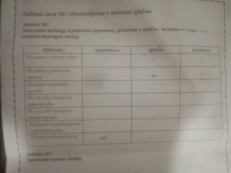 Заполните таблицу «Сравнение животных, растений и грибов», поставив «+» или «-» в соответствующую ячейку
