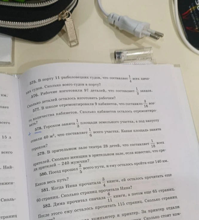 Горохом занята 1/3 площади земельного участка, а под капусту отвели 40 м², что составляет 1/6 всего участка. Какая площадь занята горохом?