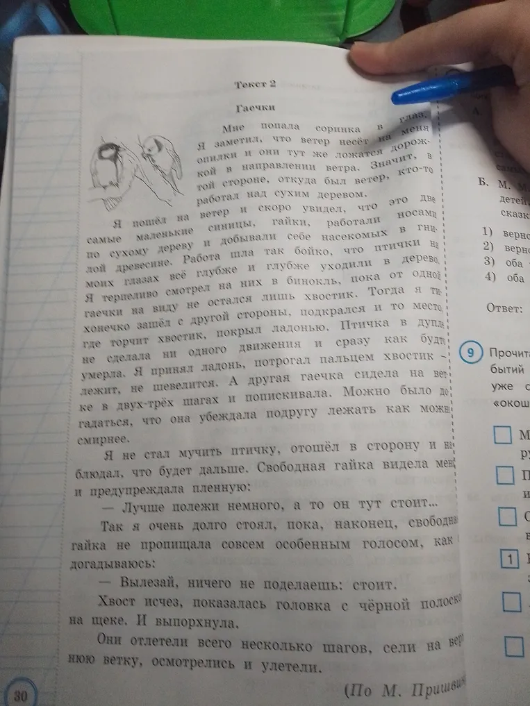На основе прочитанных текстов определи верность следующих утверждений.