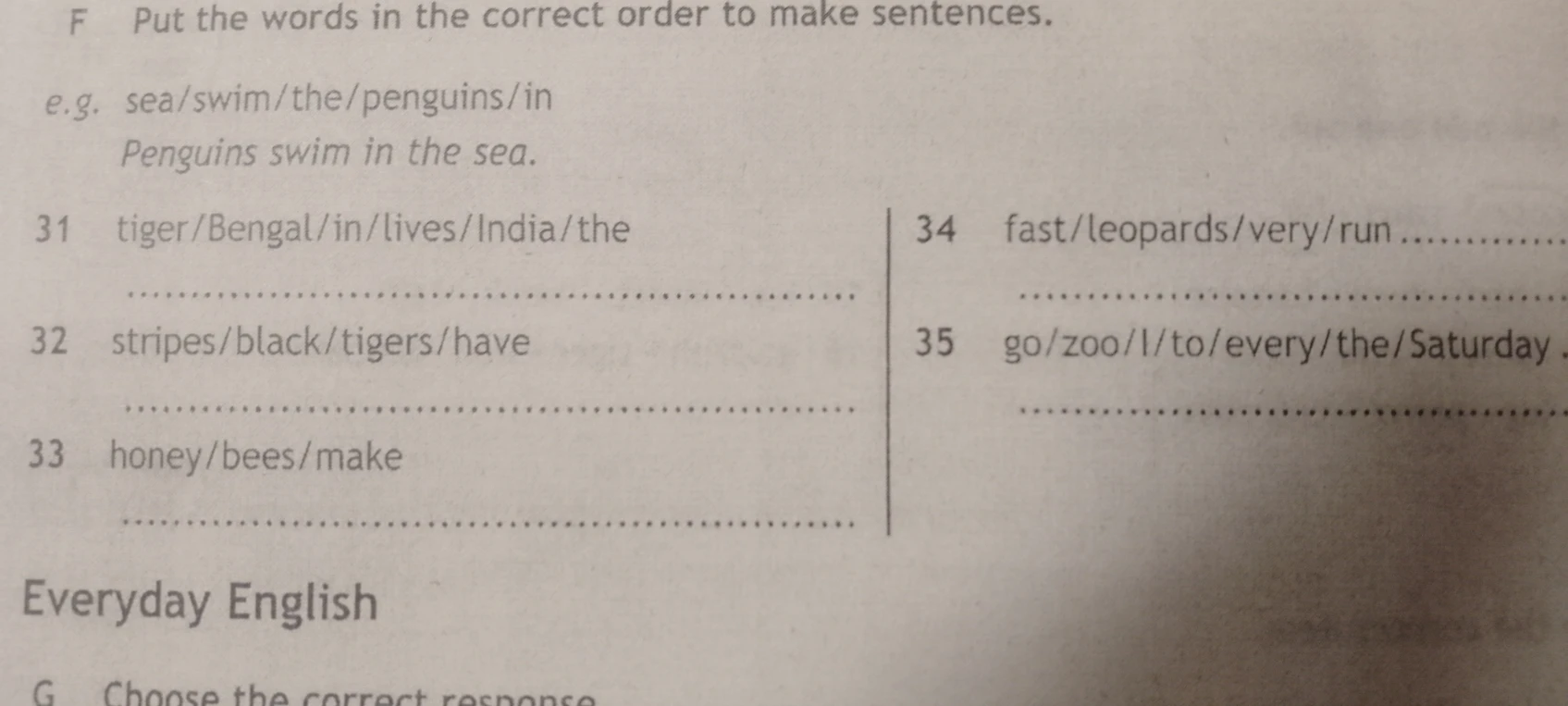 Put the words in the correct order to make sentences.