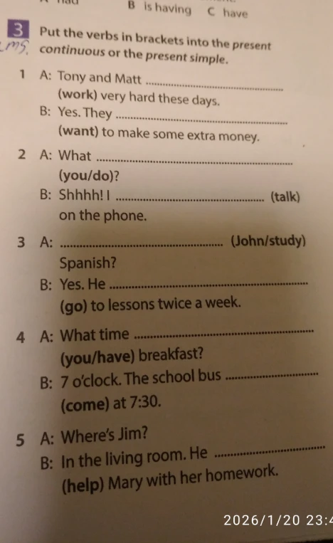Put the verbs in brackets into the present continuous or the present simple.