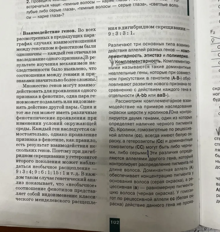 Опиши комплементарность