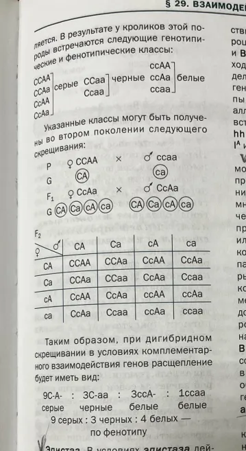 Опиши комплементарность