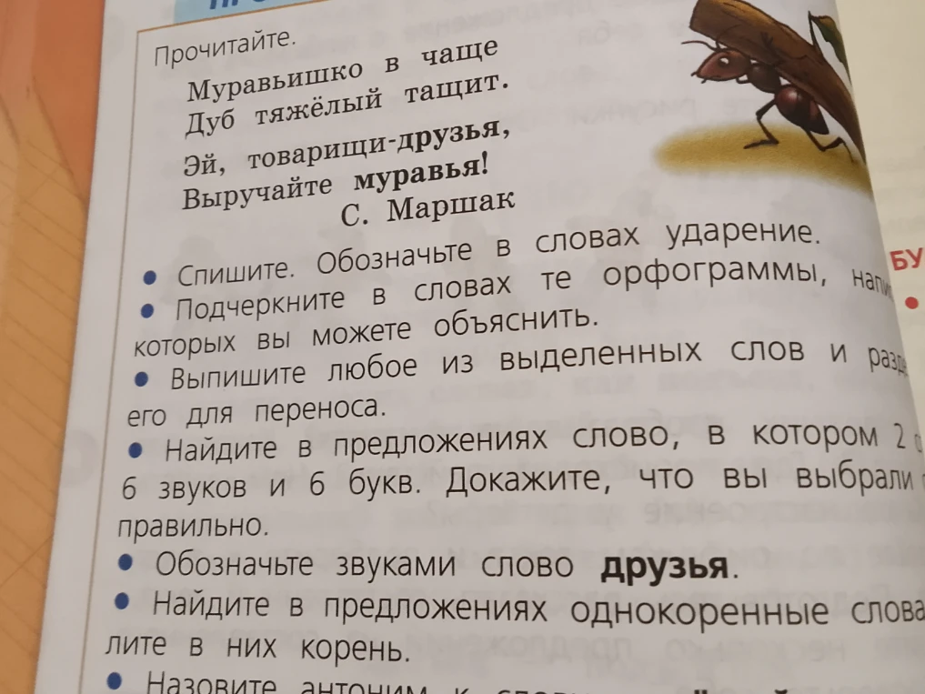 Подчеркните в словах те орфограммы, написание которых вы можете объяснить.