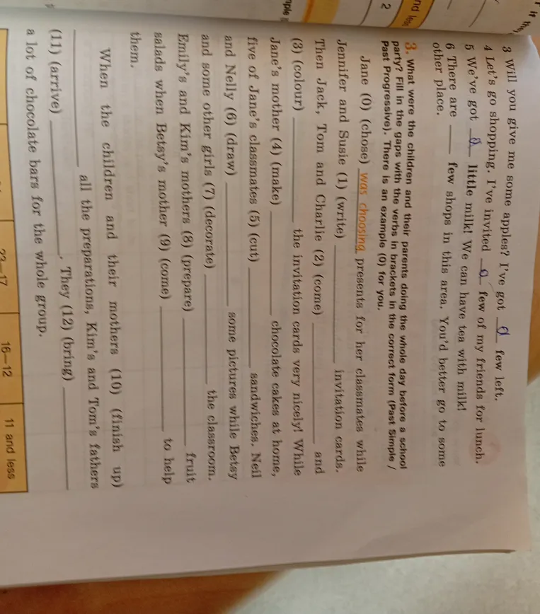 What were the children and their parents doing the whole day before a school party? Fill in the gaps with the verbs in brackets in the correct form (Past Simple / Past Progressive).