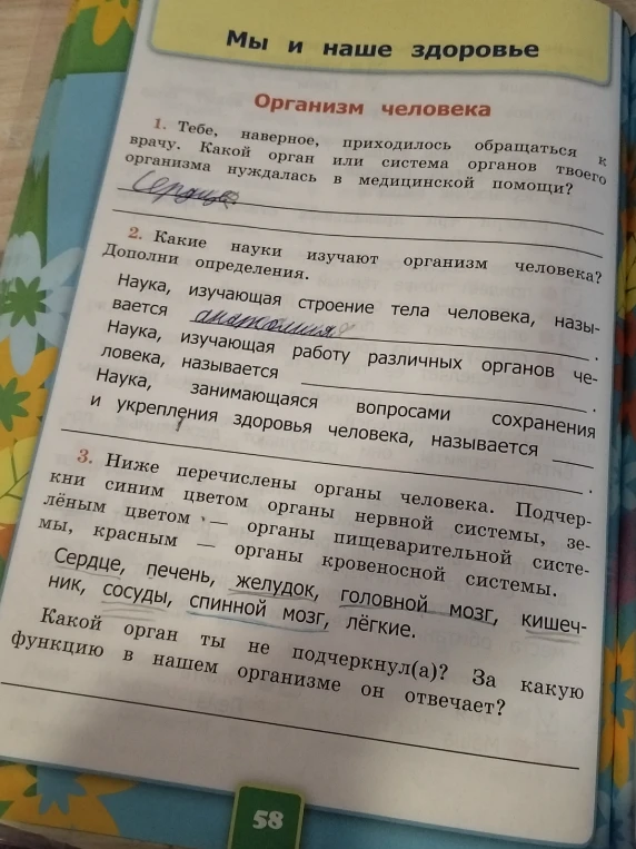 Какие науки изучают организм человека?