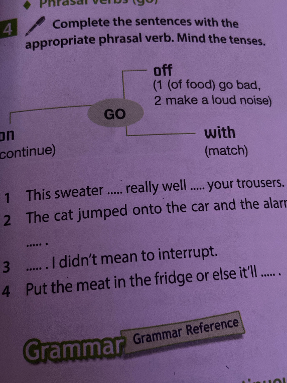 Complete the sentences with the appropriate phrasal verb. Mind the tenses.