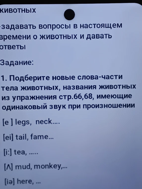 Подберите новые слова-части тела животных, названия животных из упражнения стр.66,68, имеющие одинаковый звук при произношении