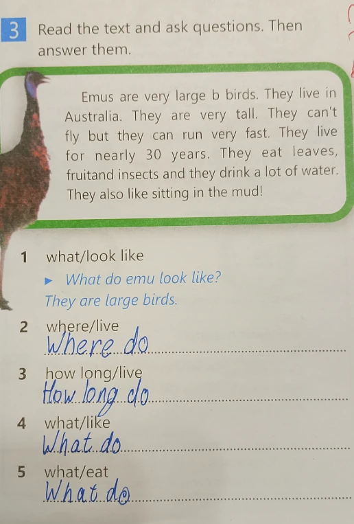 Read the text and ask questions. Then answer them.
