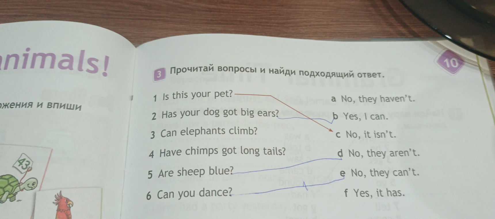 Прочитай вопросы и найди подходящий ответ.