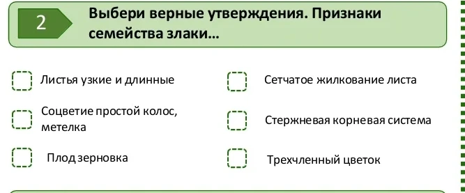 Выбери верные утверждения. Признаки семейства злаки...