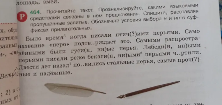 Прочитайте текст. Проанализируйте, какими языковыми средствами связаны в нём предложения. Спишите, расставляя пропущенные запятые. Обозначьте условия выбора н и нн в суффиксах прилагательных.