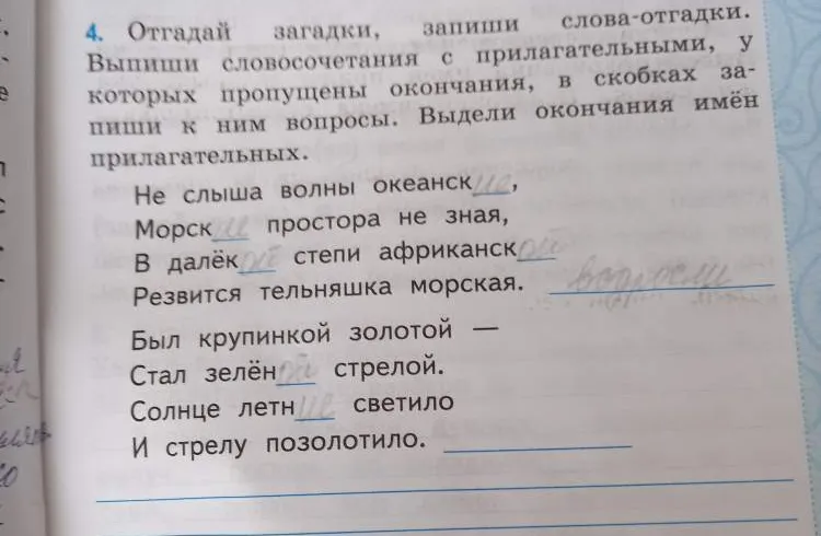Отгадай загадки, запиши слова-отгадки. Выпиши словосочетания с прилагательными, у которых пропущены окончания, в скобках запиши к ним вопросы.