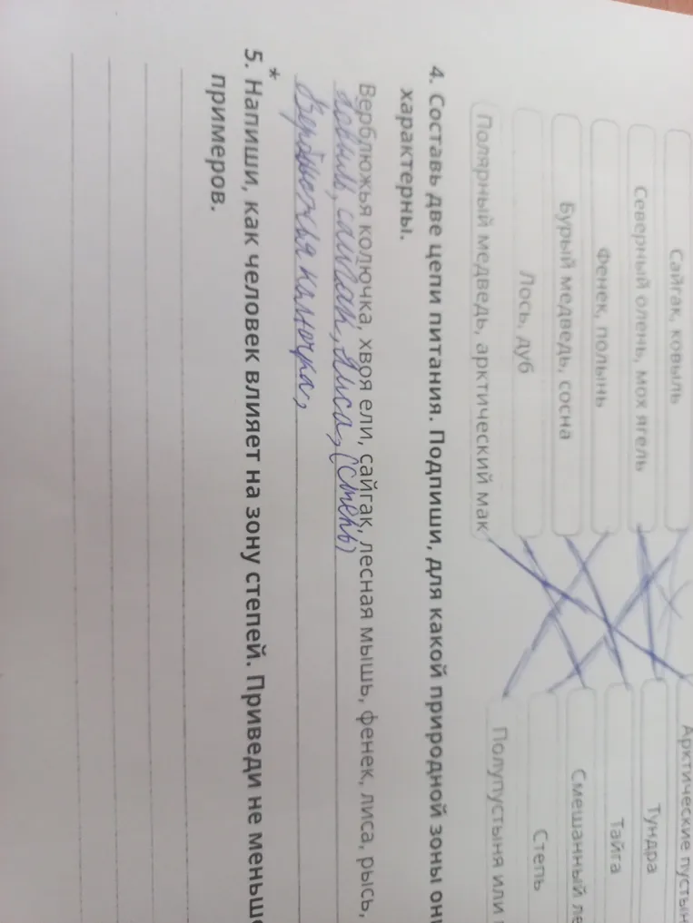 Составь две цепи питания. Подпиши, для какой природной зоны они характерны.