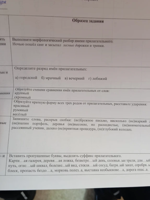 Выполните морфологический разбор имени прилагательного. Ночью пошёл снег и засыпал лесные дорожки и тропки.