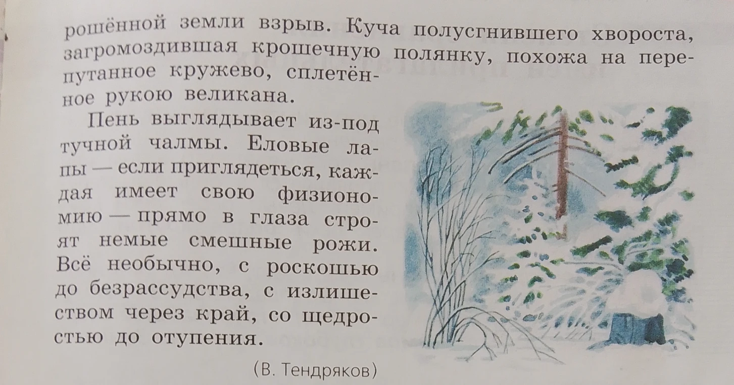 Определите члены предложения и части речи: Пень выглядывает из-под тучной чалмы.