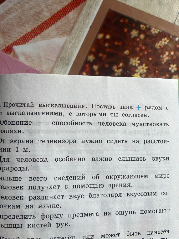 Прочитай высказывания. Поставь знак + рядом с высказываниями, с которыми ты согласен.
