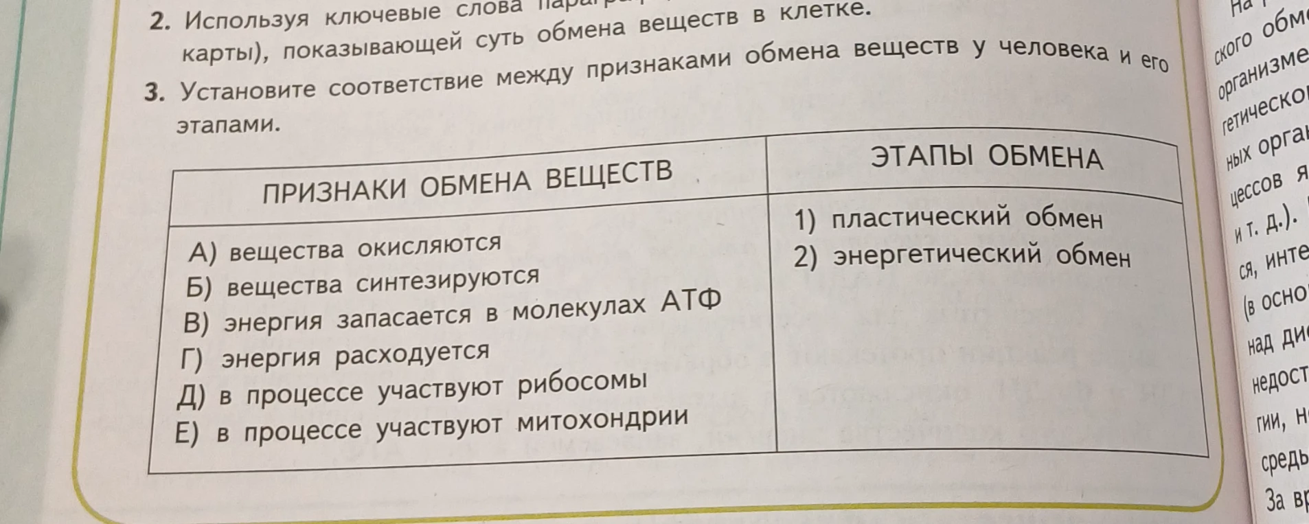 Установите соответствие между признаками обмена веществ у человека и его этапами.
