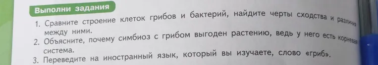 1. Сравните строение клеток грибов и бактерий, найдите черты сходства и различия между ними.