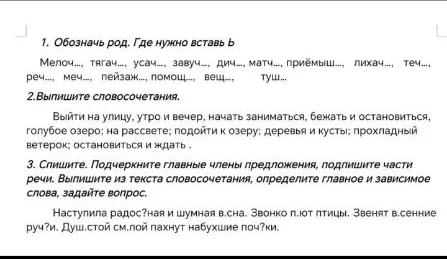 1. Обозначь род. Где нужно вставь ь. 2. Выпишите словосочетания. 3. Спишите. Подчеркните главные члены предложения, подпишите части речи.
