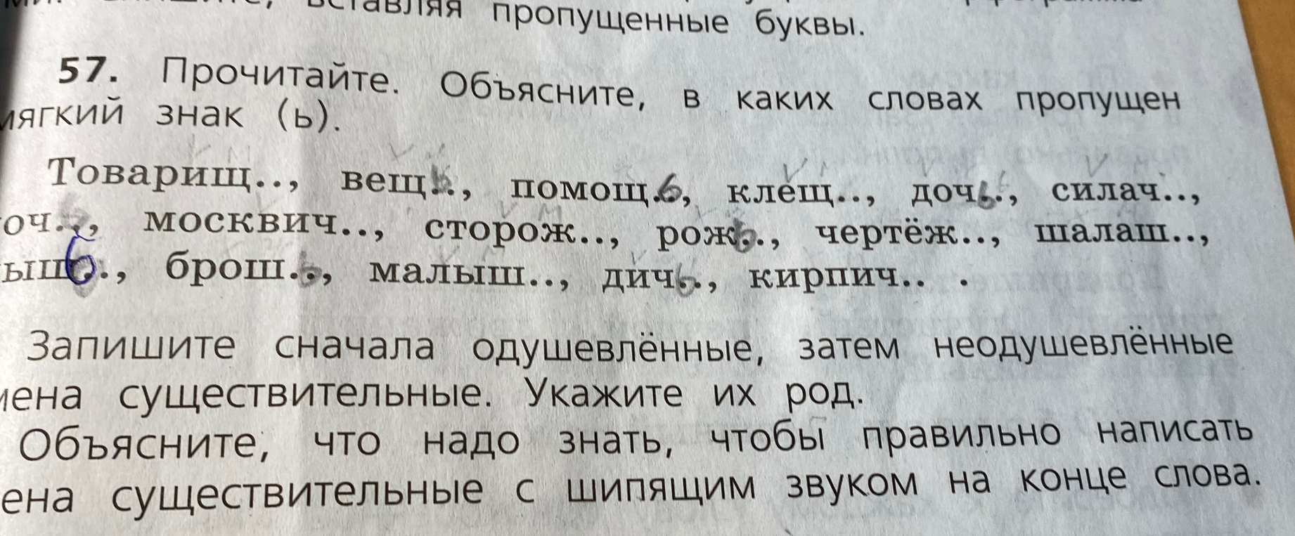 Прочитайте. Объясните, в каких словах пропущен мягкий знак (ь). Запишите сначала одушевлённые, затем неодушевлённые имена существительные. Укажите их род.