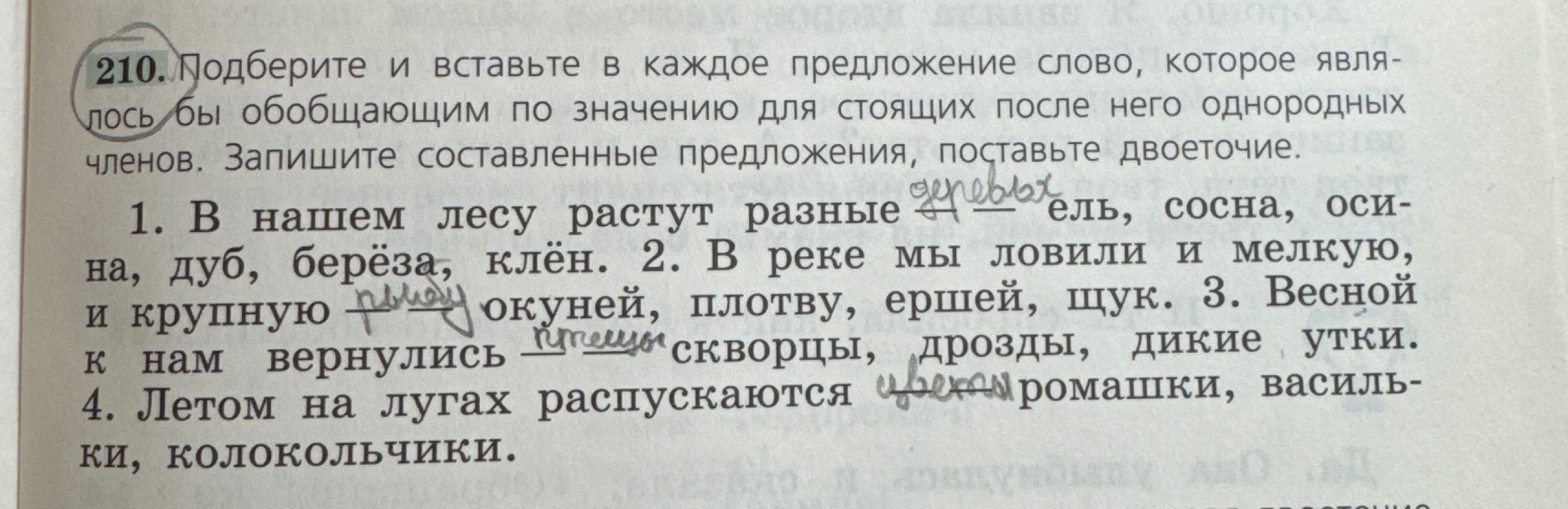 Подберите и вставьте в каждое предложение слово, которое являлось бы обобщающим по значению для стоящих после него однородных членов. Запишите составленные предложения, поставьте двоеточие.