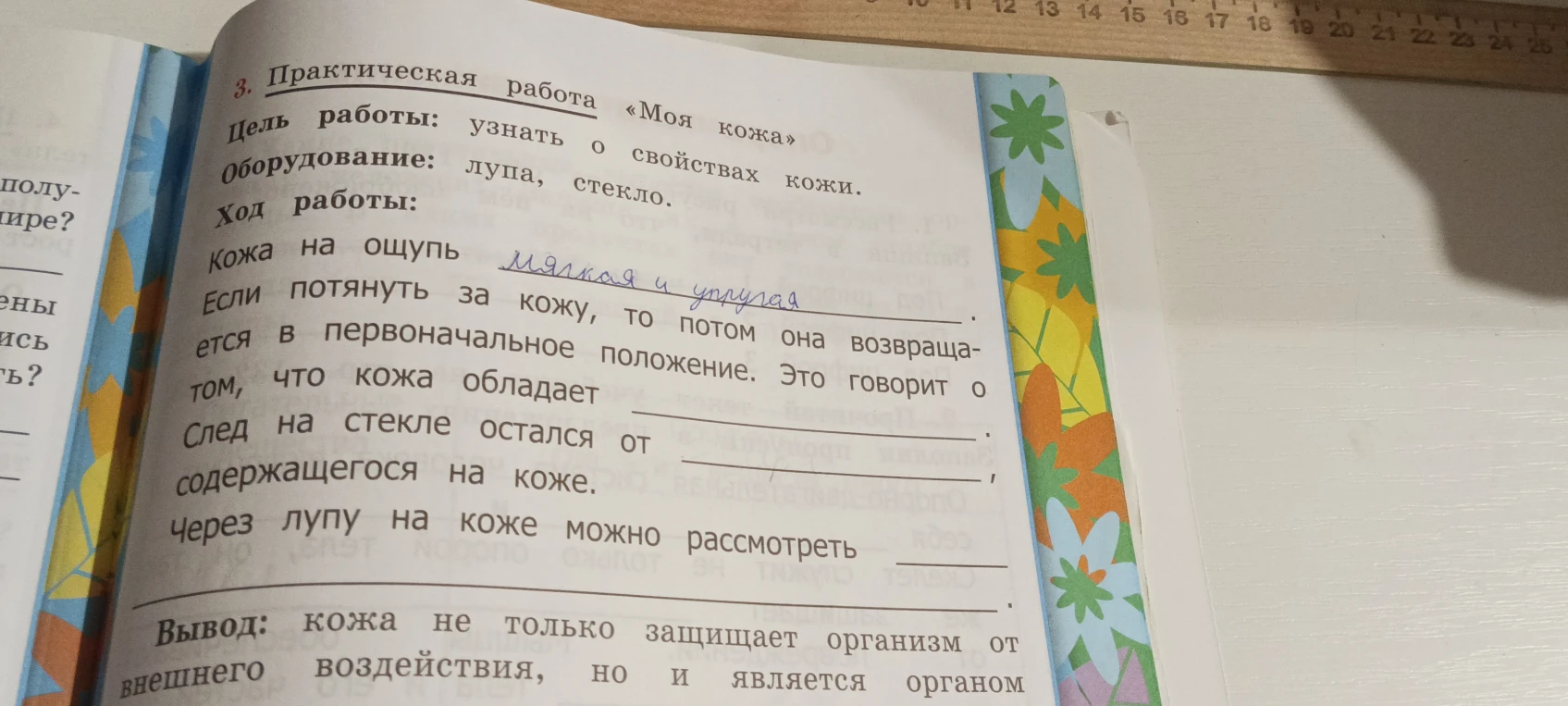 Заполни пропуски в практической работе «Моя кожа»