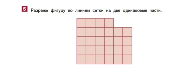 Разрежь фигуру по линиям сетки на две одинаковые части.