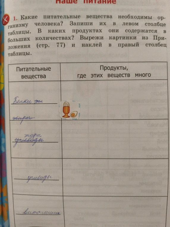 Какие питательные вещества необходимы организму человека?