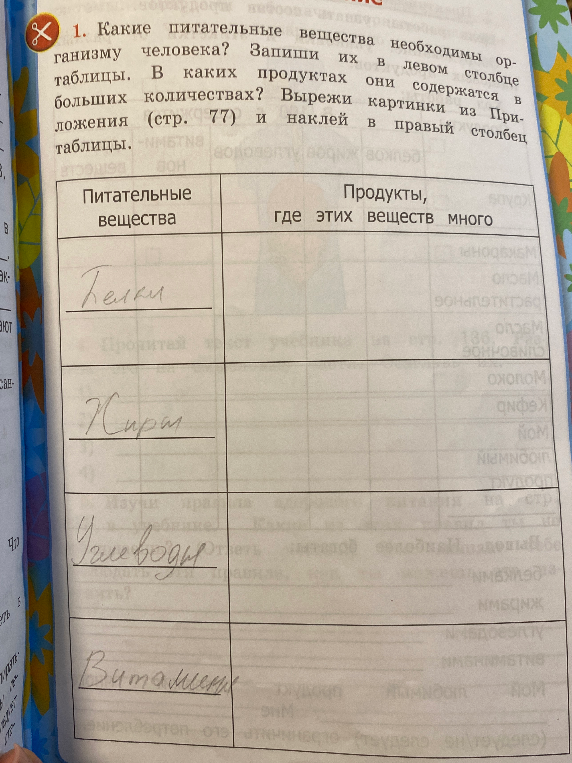 Какие питательные вещества необходимы организму человека? Запиши их в левом столбце таблицы. В каких продуктах они содержатся в больших количествах?