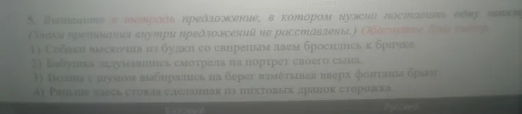 Выпишите в тетрадь предложение, в котором нужно поставить одну запятую.