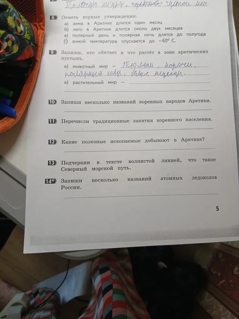 Запиши несколько названий коренных народов Арктики.