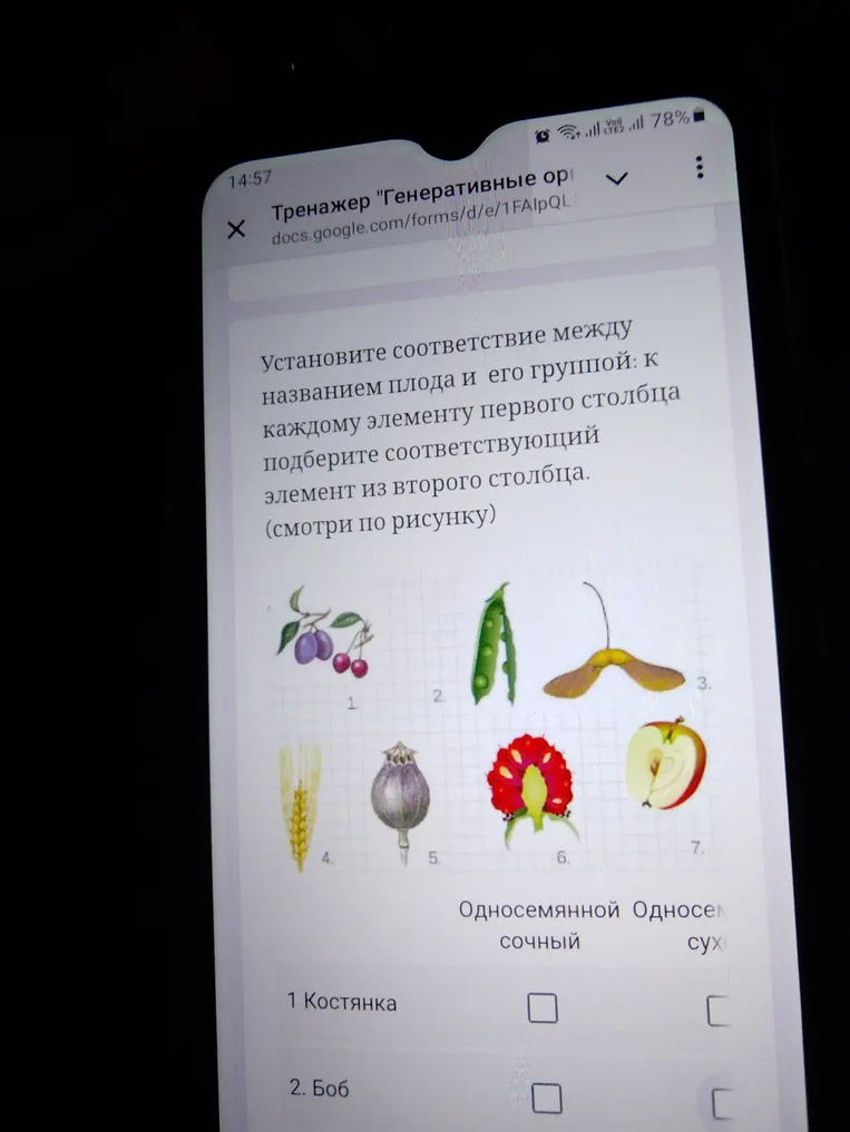 Установите соответствие между названием плода и его группой: к каждому элементу первого столбца подберите соответствующий элемент из второго столбца. (смотри по рисунку)