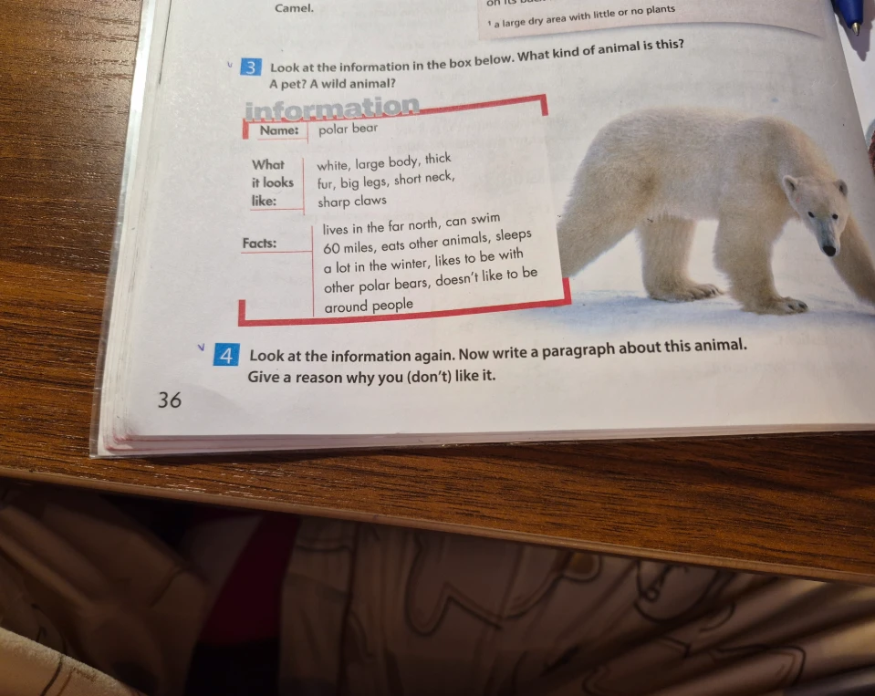 Look at the information again. Now write a paragraph about this animal. Give a reason why you (don't) like it.
