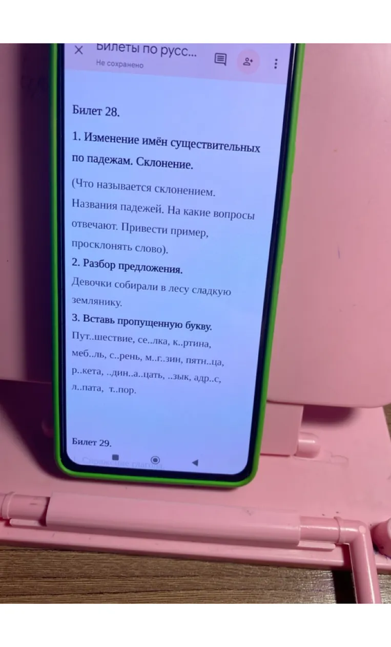 Билет 28. 1. Изменение имён существительных по падежам. Склонение. 2. Разбор предложения. 3. Вставь пропущенную букву.