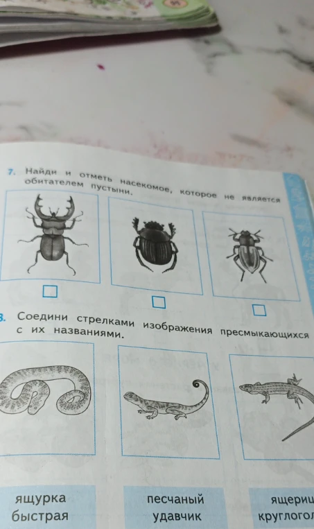 Найди и отметь насекомое, которое не является обитателем пустыни. Соедини стрелками изображения пресмыкающихся с их названиями.