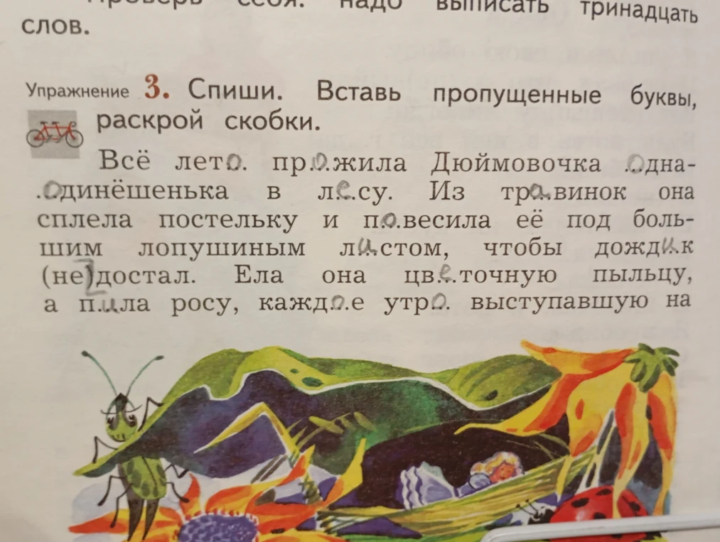 Спиши. Вставь пропущенные буквы, раскрой скобки. Всё лето прожила Дюймовочка...