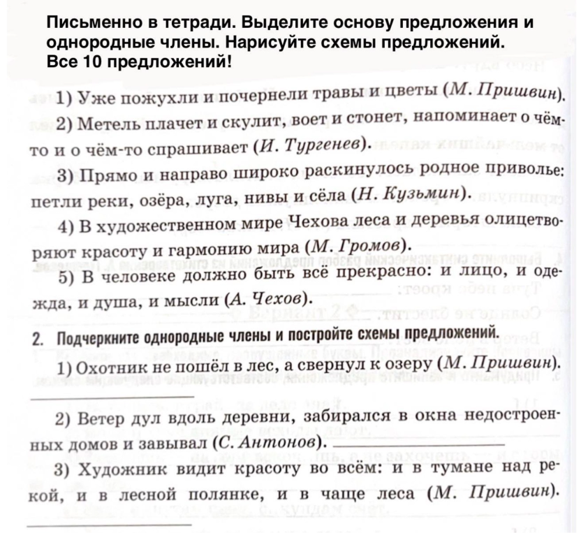 Письменно в тетради. Выделите основу предложения и однородные члены. Нарисуйте схемы предложений. Все 10 предложений!