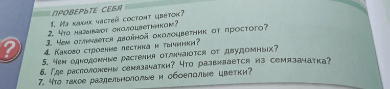 Из каких частей состоит цветок?