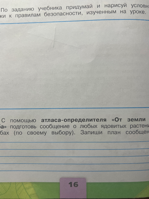 С помощью атласа-определителя «От земли до неба» подготовь сообщение о любых ядовитых растениях или грибах (по своему выбору). Запиши план сообщения.