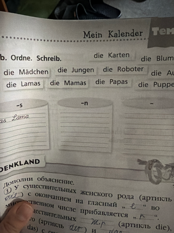Ordne. Schreib. die Karten, die Blumen, die Mädchen, die Jungen, die Roboter, die Lamas, die Mamas, die Papas, die Puppen.