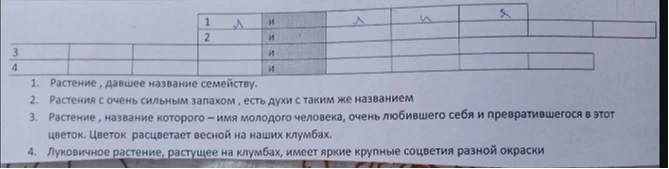 Разгадайте кроссворд о растениях семейства Лилейные.