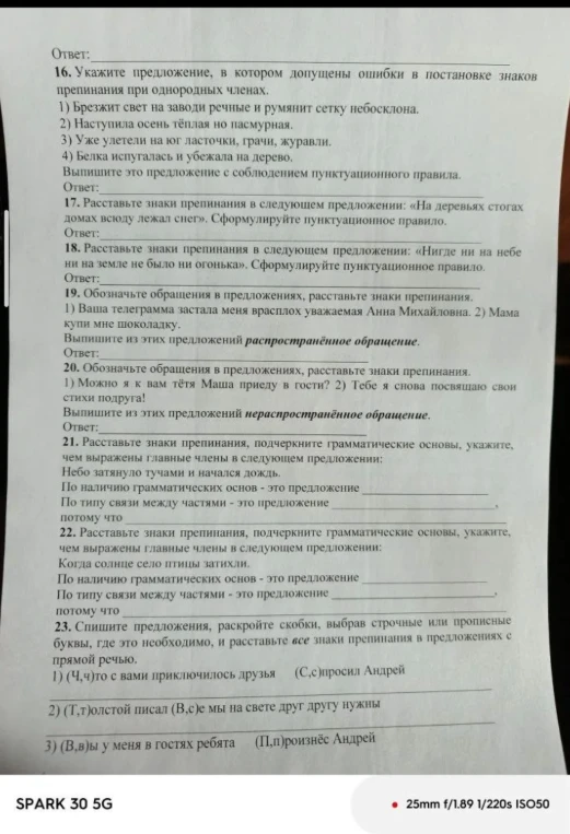 Выполните задания 16-23 по пунктуации, обращению и типам предложений.