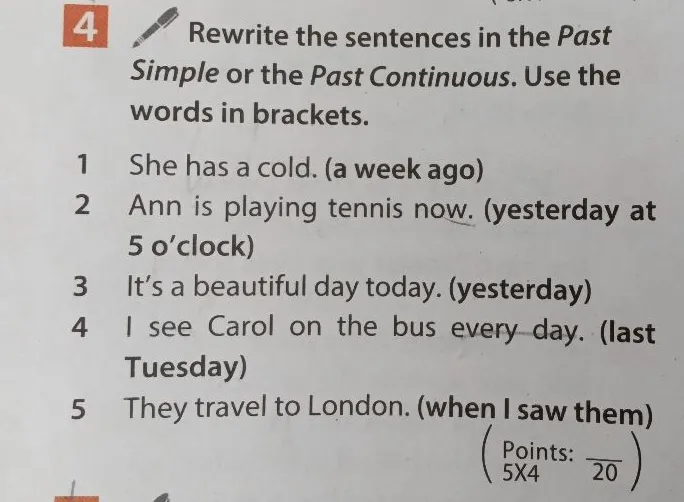 Rewrite the sentences in the Past Simple or the Past Continuous. Use the words in brackets.